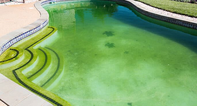Preventing And Removing Algae In Your Pool