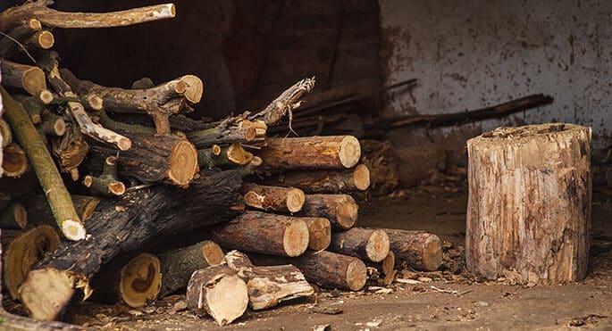 Storing Firewood: The Dos And Don’ts